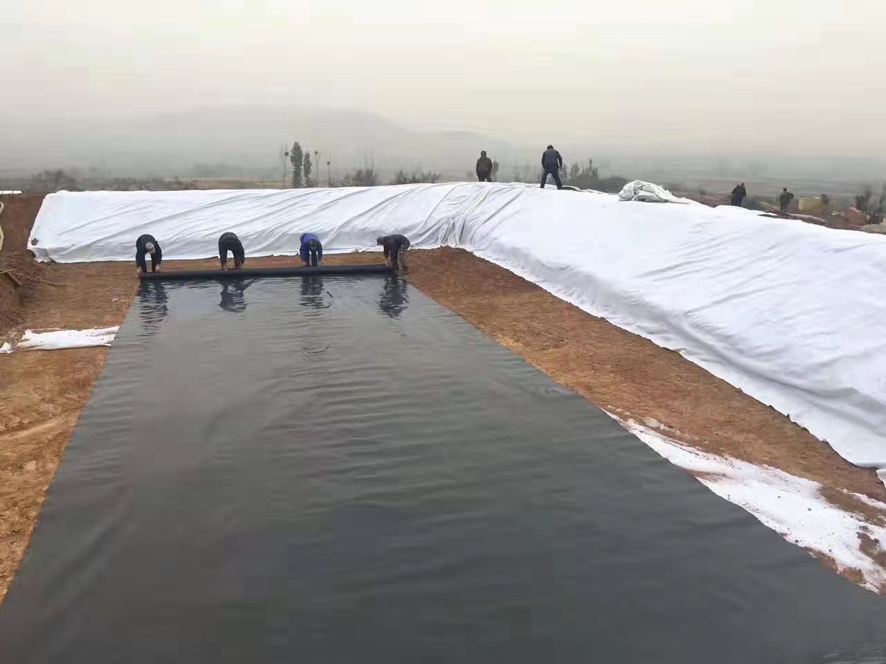 為何通常推薦養殖大戶應用黑色的土工膜?